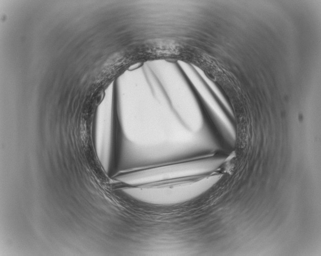 X0000059090704200511041847