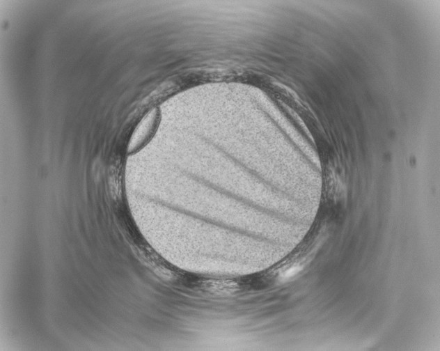 X0000059090719200511041847