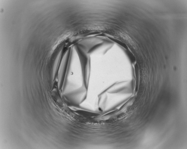 X0000059090731200511041847