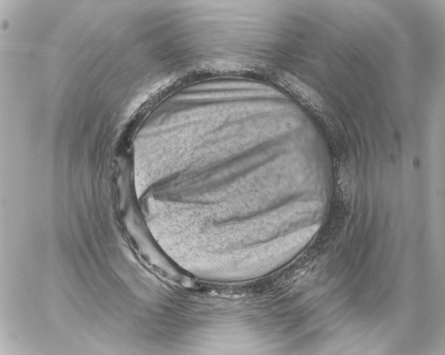 X0000059090732200511041847