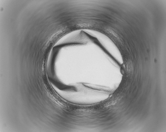 X0000059090733200511041847