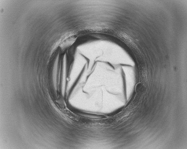 X0000059090734200511041847