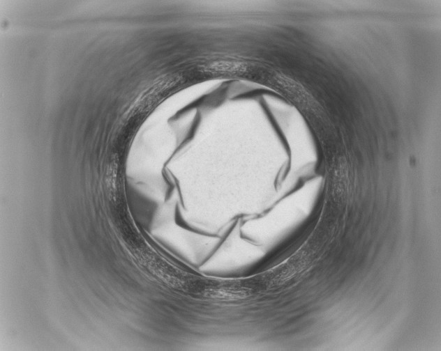 X0000059090739200511041847