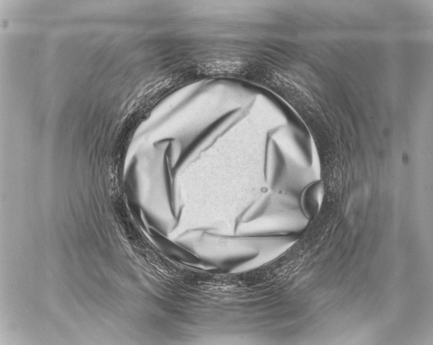X0000059090743200511041847