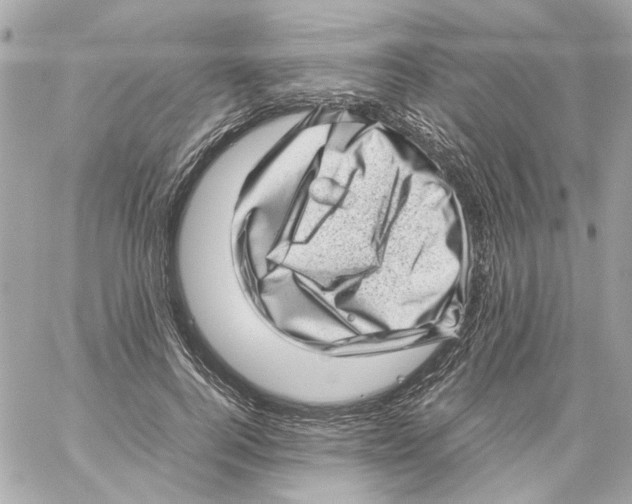 X0000059090744200511041847