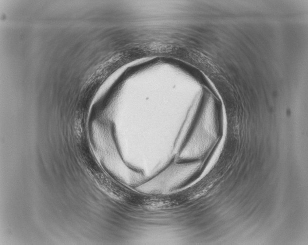 X0000059090746200511041847