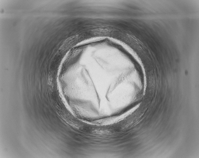 X0000059090749200511041847