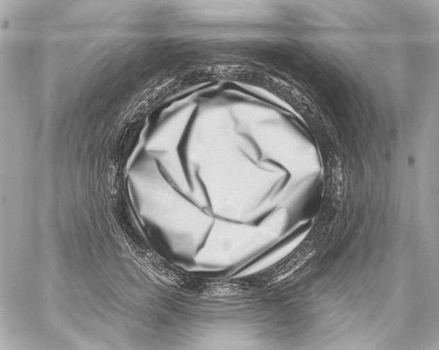 X0000059090750200511041847