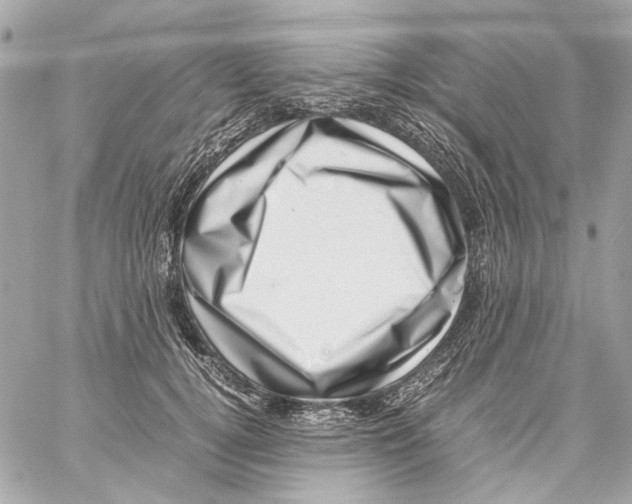 X0000059090752200511041847