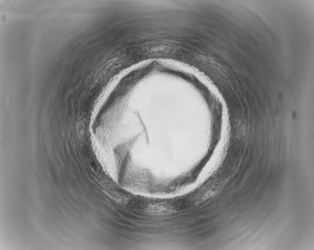 X0000059090753200511041847