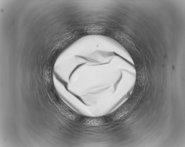 X0000059090755200511041847