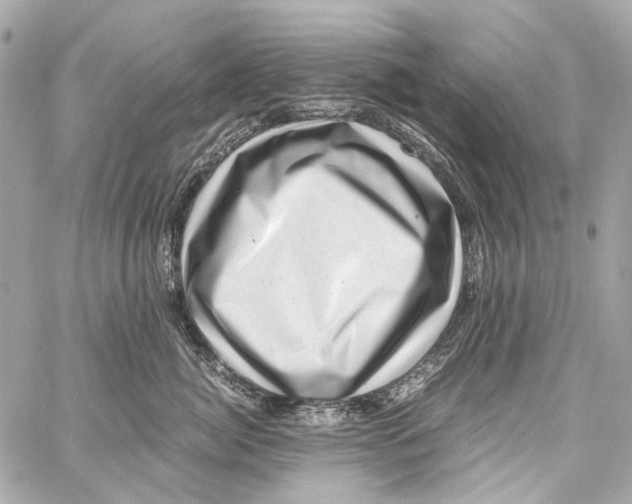 X0000059090764200511041847