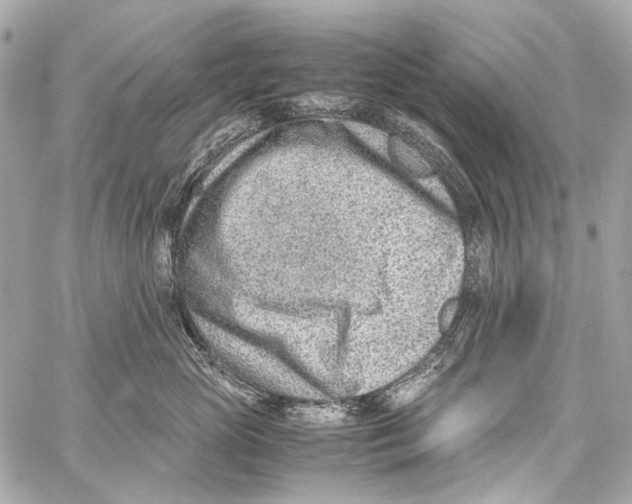 X0000059090765200511041847