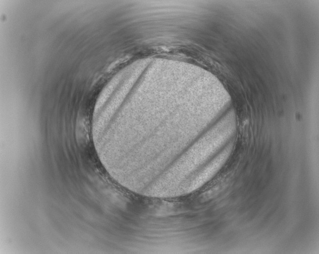 X0000059090772200511041846