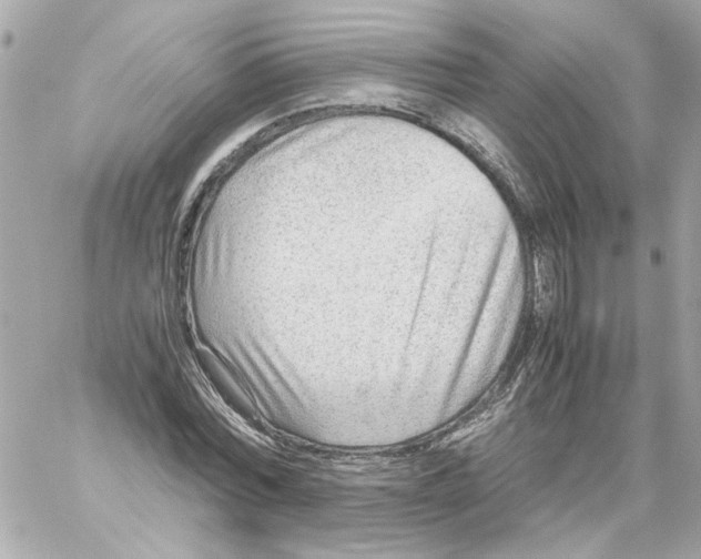X0000059090780200511041846