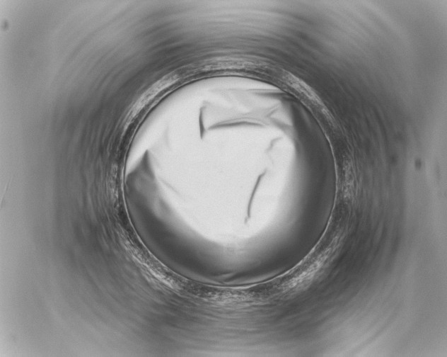 X0000059090786200511041846