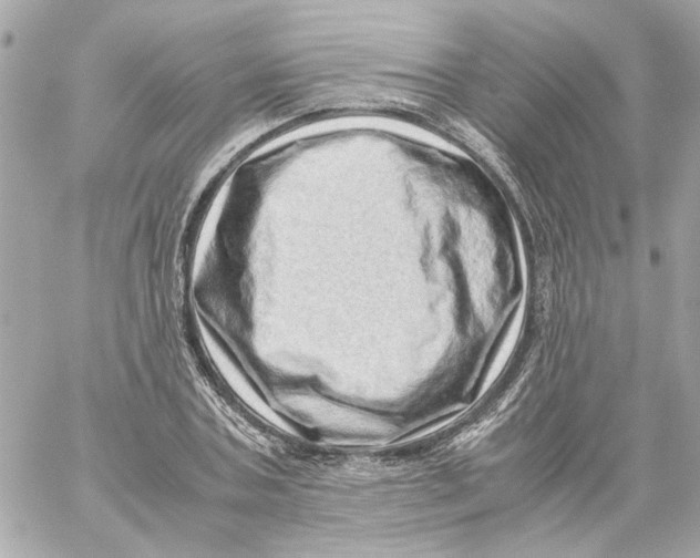 X0000059090787200511041846