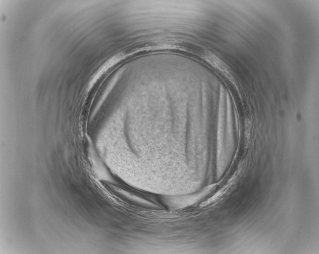 X0000059090789200511041846
