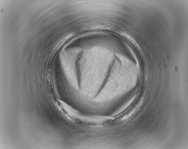 X0000059090793200511041846
