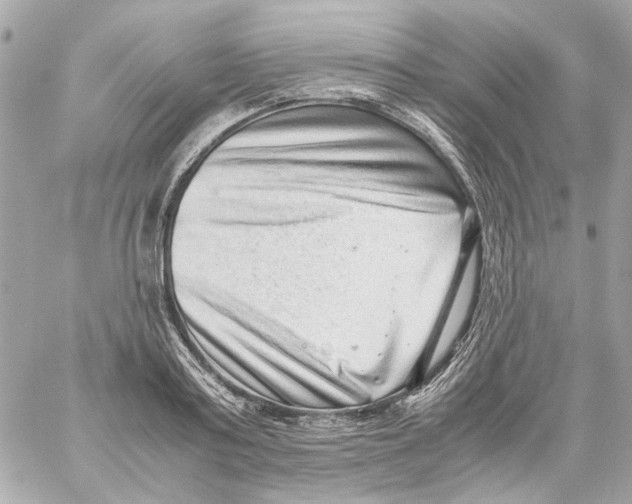 X0000059090795200511041846