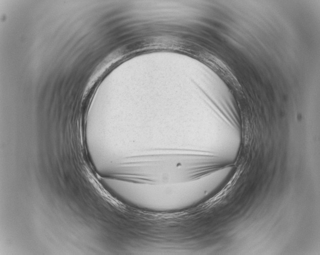 X0000059090796200511041846