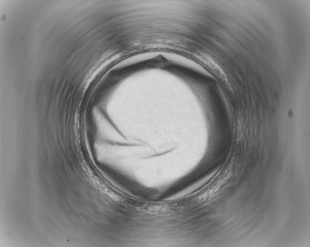 X0000059090798200511041846