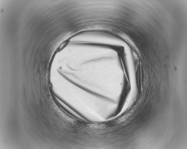 X0000059090805200511041846