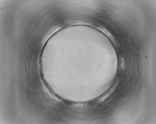X0000059090806200511041846