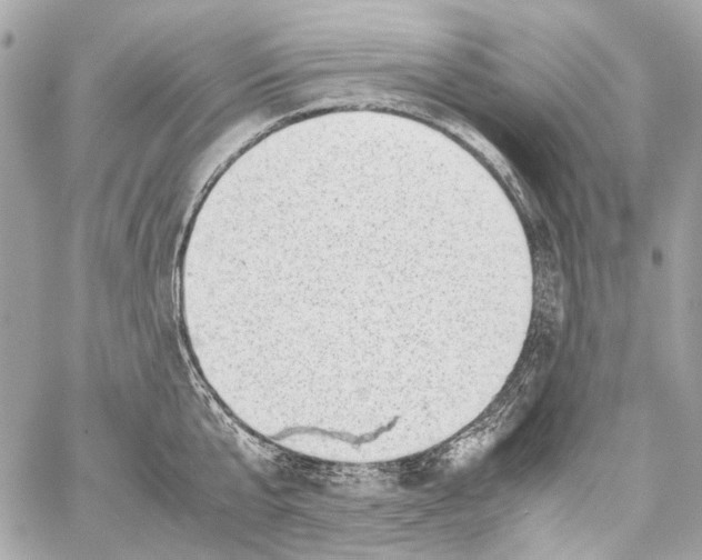 X0000059090807200511041846