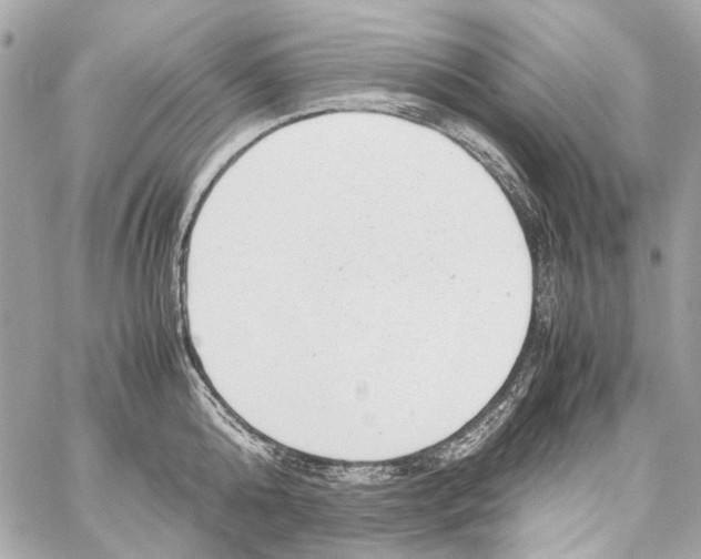 X0000059090808200511041846