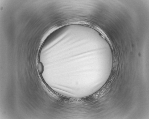 X0000059090811200511041846