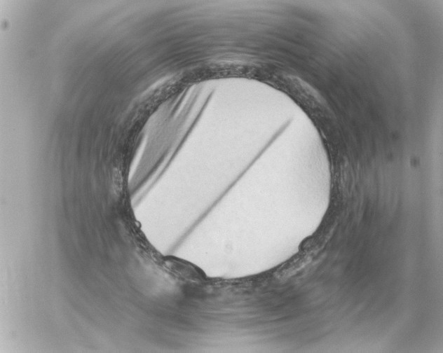 X0000059090821200511041845