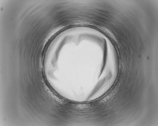 X0000059090839200511041845