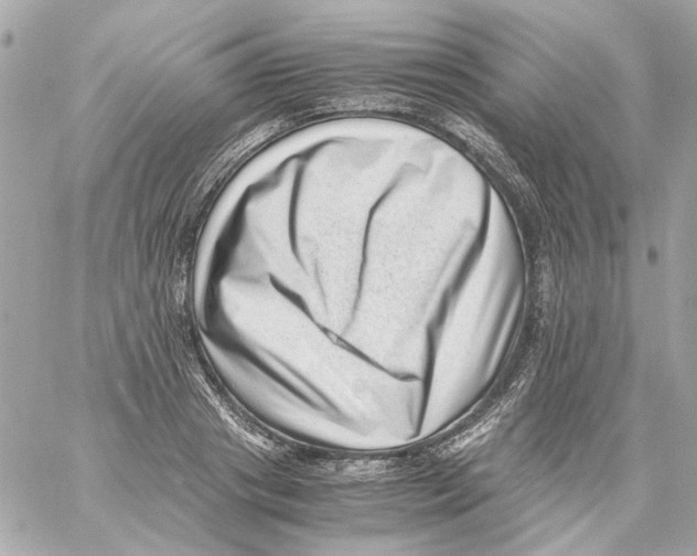 X0000059090841200511041845