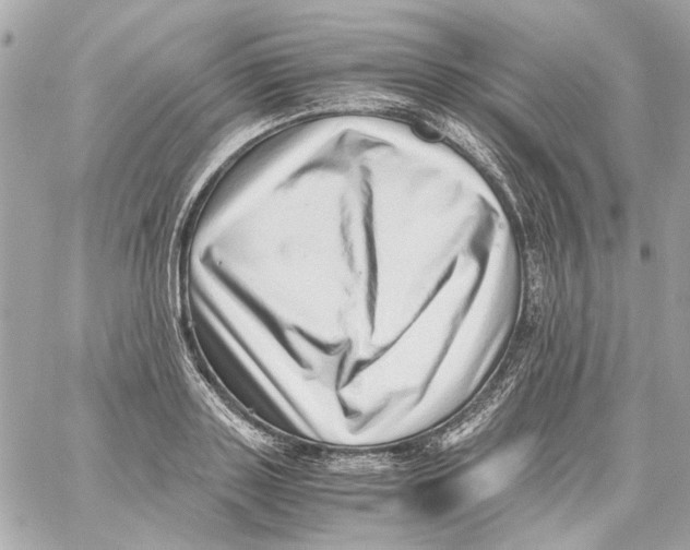 X0000059090843200511041845