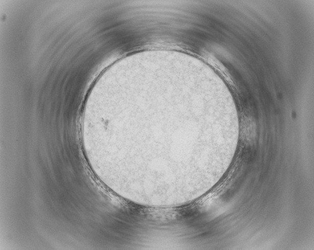 X0000059090856200511041845