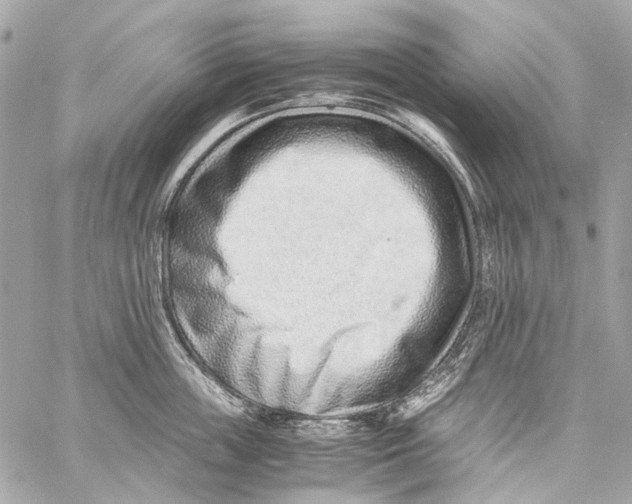 X0000059090859200511041845