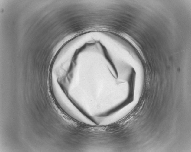 X0000059090861200511041846
