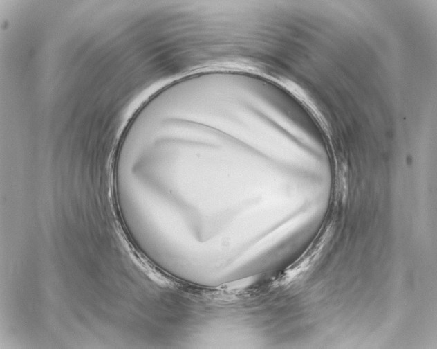 X0000059090862200511041846
