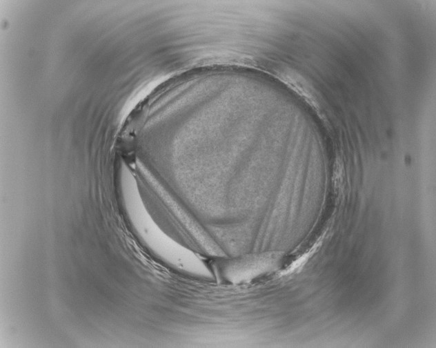 X0000059090877200511041844
