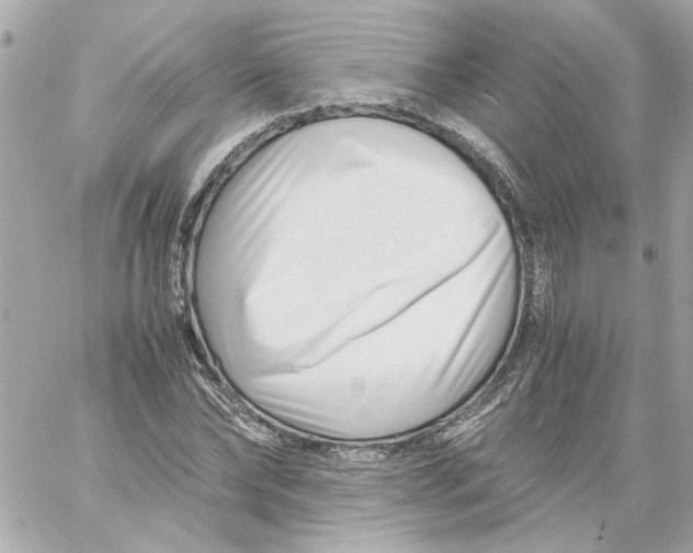 X0000059090878200511041844