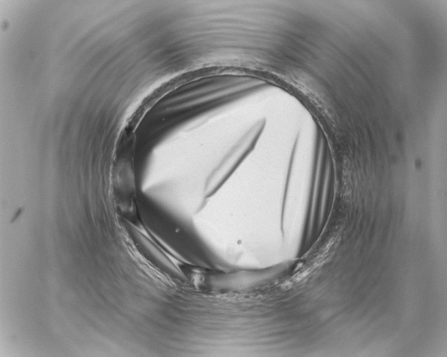 X0000059090880200511041844