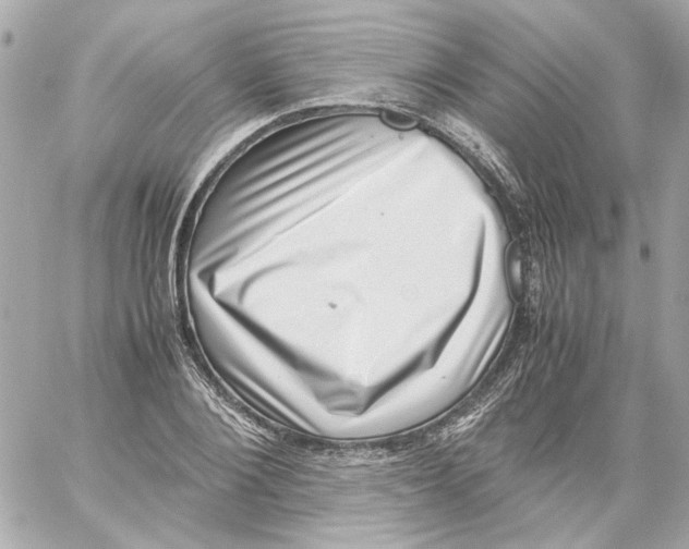 X0000059090884200511041844