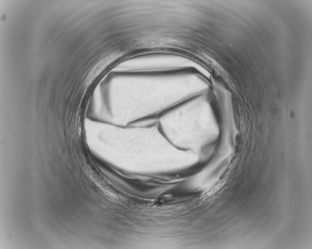 X0000059090885200511041844