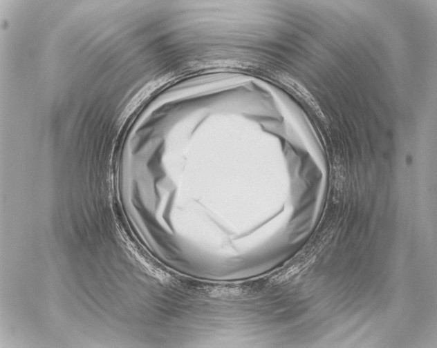 X0000059090890200511041844