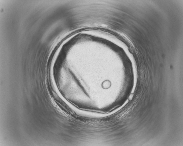 X0000059090895200511041844