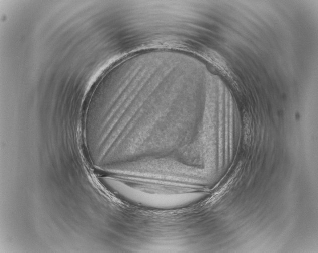 X0000059090896200511041844
