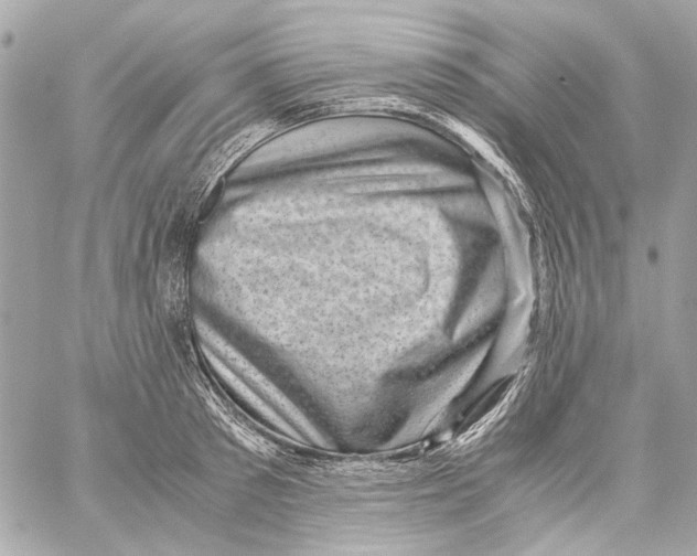 X0000059090897200511041844
