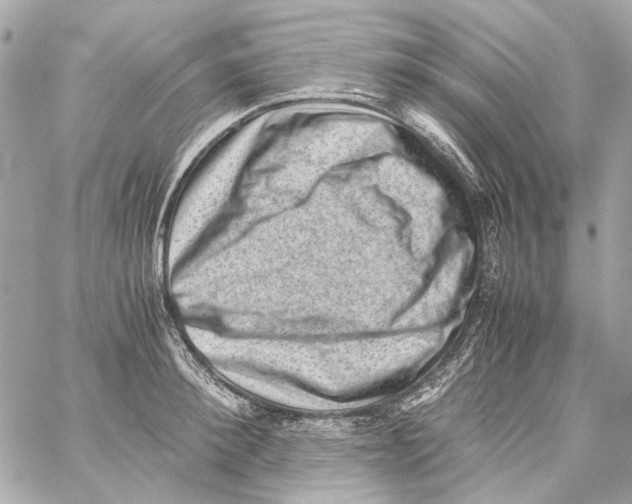 X0000059090900200511041844