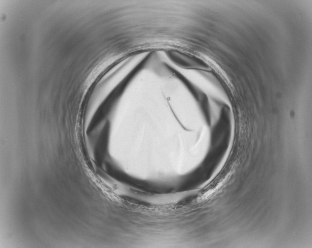 X0000059090901200511041844
